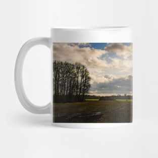 Rural Dutch Mug